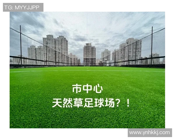 假草皮足球场的优势与应用探讨及其对足球运动发展的影响分析